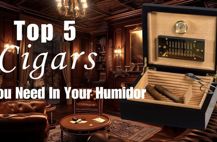 Top 5 Cigars You Need In Your Humidor In 2024